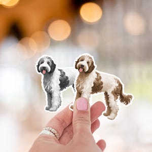 Aussidoodle Sticker, Parti Golden Doodle Sticker Decals, Doodle Sticker, Laptop Sticker, Black Goldendoodle, Chocolate Labradoodle