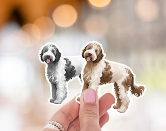 Pegatina de Aussidoodle, calcomanías de Golden Doodle, pegatina de Doodle, pegatina para portátil, Goldendoodle negro, Labradoodle chocolate