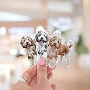 Aussidoodle Sticker, Golden Doodle Sticker Decals, Doodle Sticker, Laptop Sticker, Black Goldendoodle, Chocolate Labradoodle