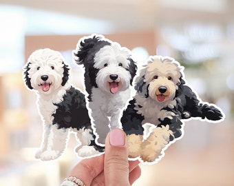 Pegatina de Sheepadoodle, calcomanías de Golden Doodle, pegatina de Doodle