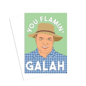 Peut inclure: Une carte de vœux avec une illustration de dessin animé d'un homme portant un chapeau brun et une chemise à carreaux bleus et blancs. Le texte sur la carte dit "You flamin' galah".