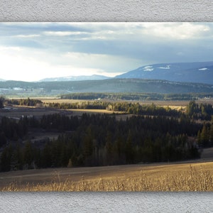 Forest landscape print, wall art, nature home decor, Sunset poster