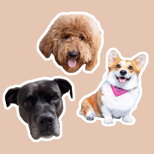 Custom pet stickers, Custom dog sticker, Custom cat sticker, water bottle sticker, Premium Quality