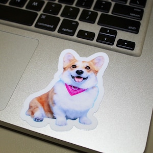 May include: A sticker of a smiling corgi wearing a pink bandana on a silver laptop.