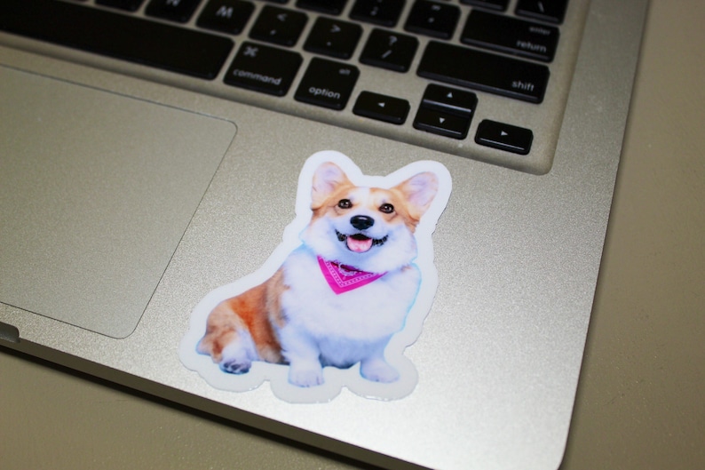 May include: A sticker of a smiling corgi wearing a pink bandana on a silver laptop.