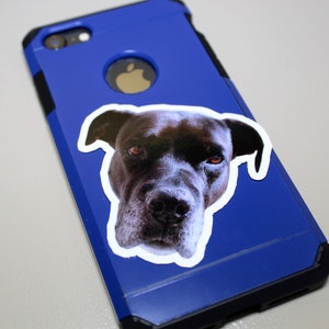 May include: A blue phone case with a black dog sticker on the back.