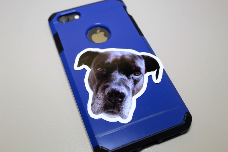 May include: A blue phone case with a black dog sticker on the back.