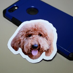 May include: A close-up of a brown and white dog sticker. The dog has a long, fluffy coat and is looking directly at the camera. The sticker is on a white background.