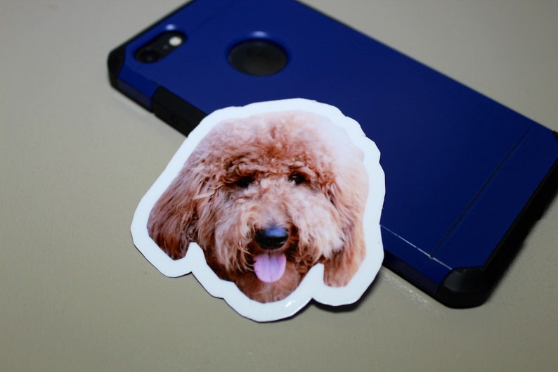May include: A close-up of a brown and white dog sticker. The dog has a long, fluffy coat and is looking directly at the camera. The sticker is on a white background.