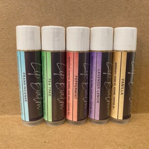 Bálsamo labial de cera de abeja - Bálsamo labial de paquete de variedades naturales - Chap Stick orgánico - Brillo de labios - Bálsamo labial de cera de abeja sin tratar - Bálsamo labial con sabor