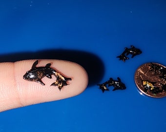 Miniature Black & Copper Koi Fish