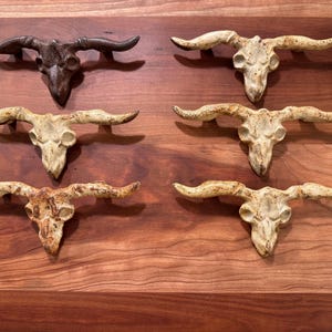 Puede incluir: Seis esculturas decorativas de calaveras de toro con cuernos largos. Una es de color marrón oscuro, las otras son de color blanquecino con detalles marrones. Las calaveras están dispuestas sobre una superficie de madera, mostrando una estética rústica.