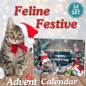 Cat Advent Calendar 2025, 24 Cat Toy Christmas Countdown, Whisker Wonderland Blind Box, Meowy Christmas Gift for Pets and Cat lovers