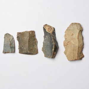 Nederland Neolithicum Flint Stone Tool Collection Nederlandse vuursteen Rijckholt Michelsbergcultuur Limburg Silex Vuursteen