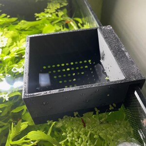 May include: A black, rectangular aquarium filter box with a perforated base, partially submerged in water. The box is positioned near the top edge of the aquarium, surrounded by green aquatic plants. The water surface reflects the light.