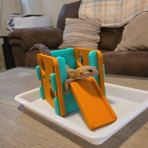 May include: A gecko, with tan and brown markings, is on a small, colourful playground. The toy has orange and teal parts, including a slide. It sits on a white tray, placed on a wooden table. The scene is indoors.