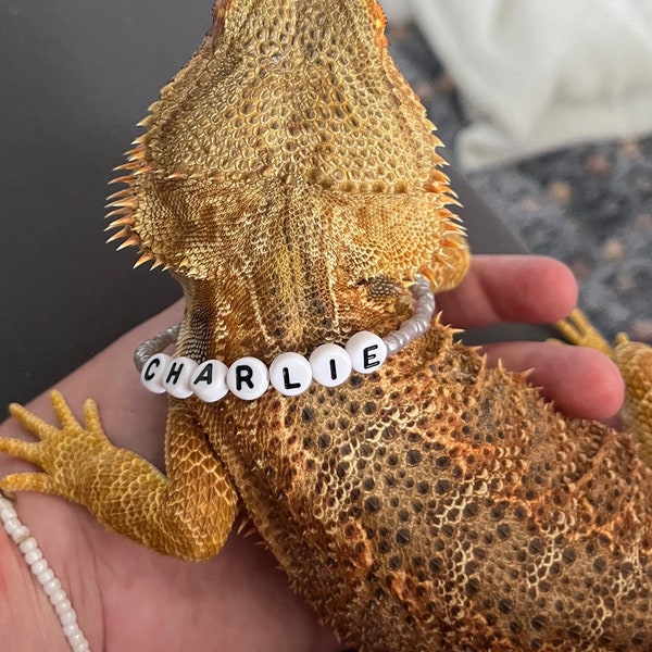 Personalised Bearded dragon adjustable collar/necklace