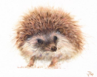 Hedgehog fine art Giclée print, 'Leo'.