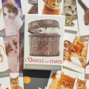 Oracle des Chats – Édition Française Rare | 44 Cartes + Livret | Cartomancie Féline 2010 | Jeu de Sagesse Spirituelle