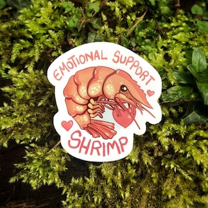 Pegatina de camarón con apoyo emocional, pegatina de camarón, amor por las criaturas marinas, bonita pegatina para portátil, regalo de camarón