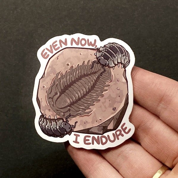 Woodlouse Sticker, Pillbug Vibes, Fossil Sticker, Isopod Sticker für Laptop, Handy Sticker