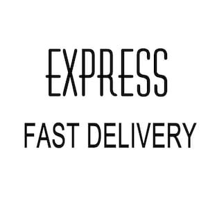 May include: Black and white text graphic that reads "EXPRESS FAST DELIVERY".