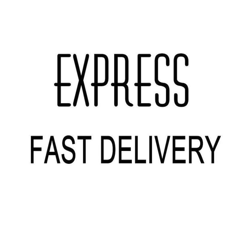 May include: Black and white text graphic that reads "EXPRESS FAST DELIVERY".