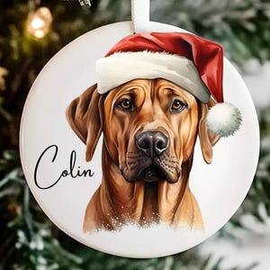May include: A circular Christmas decoration depicting a brown dog wearing a Santa hat. The name "Colin" is written in cursive. The ornament has a white background and a ribbon for hanging.
