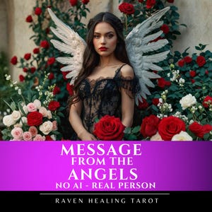 May include: A person with long dark hair and white feathered wings wearing a black lace dress, positioned among red and white roses. A purple banner at the bottom displays the text: MESSAGE FROM THE ANGELS, NO AI - REAL PERSON, RAVEN HEALING TAROT.