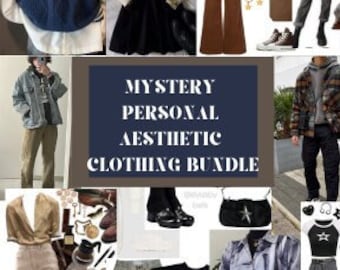 mystery Personal Aesthetic thrifted vintage Clothing Bundle for men and women