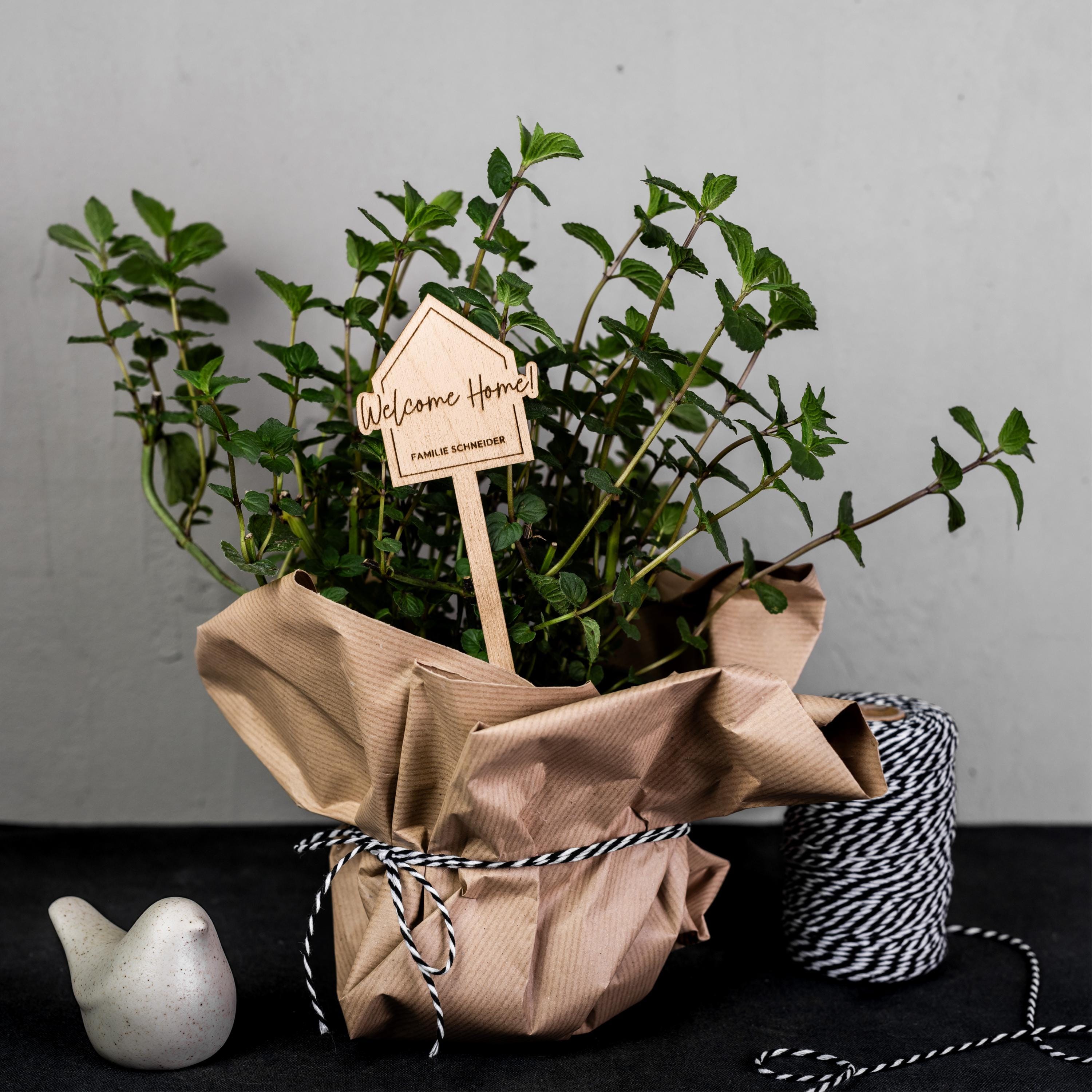 Topfpflanze verschenken - Etsy.de