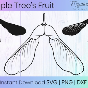 Fruta de arce SVG, helicóptero de arce SVG, llave de arce SVG, png, eps, dxf, uso comercial, clipart, imprimible, Cricut, archivos de corte, archivo digital
