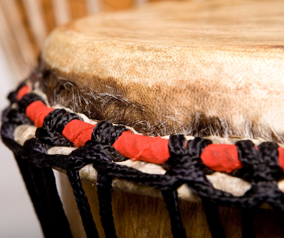 Djembe Drum Goat Skins From Ivory Coast Africa Full Hides Etsy