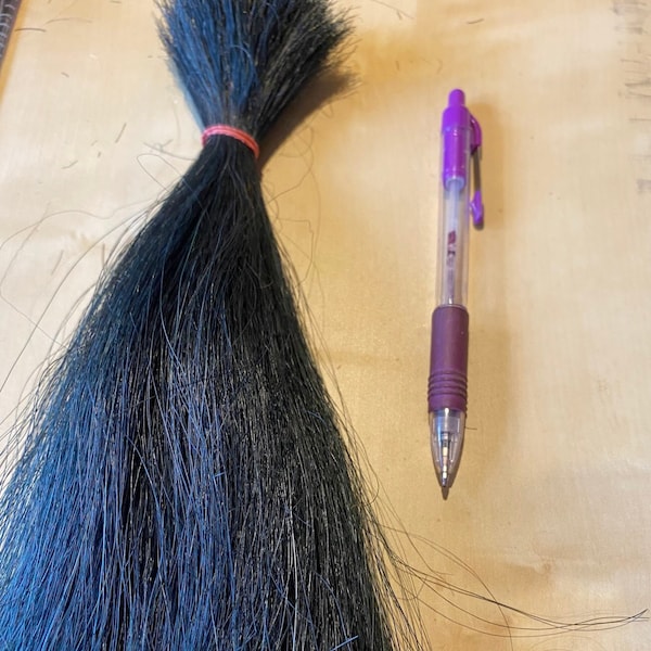 Loose horse hair 50 g ( 1.7 oz) bundle many colors 9-10 inches (25 cm) ideal for crafting, extensions horses manes, helmet or sporrans