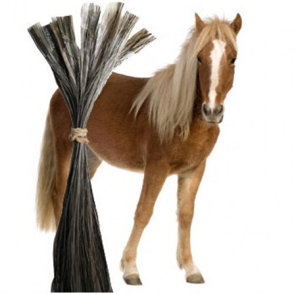 Horse Hair Extension Etsy