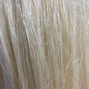 Loose horse hair 50 g 1.7 oz bundle many colors 28 30 inches 71-76cm white