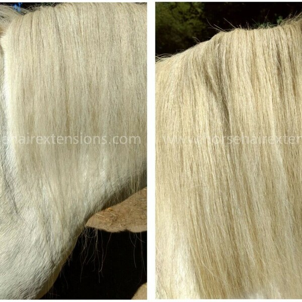 Mane extension for horses 12-14 inches real horse hair for shows,parades,carnivals , with clips on hand made to order