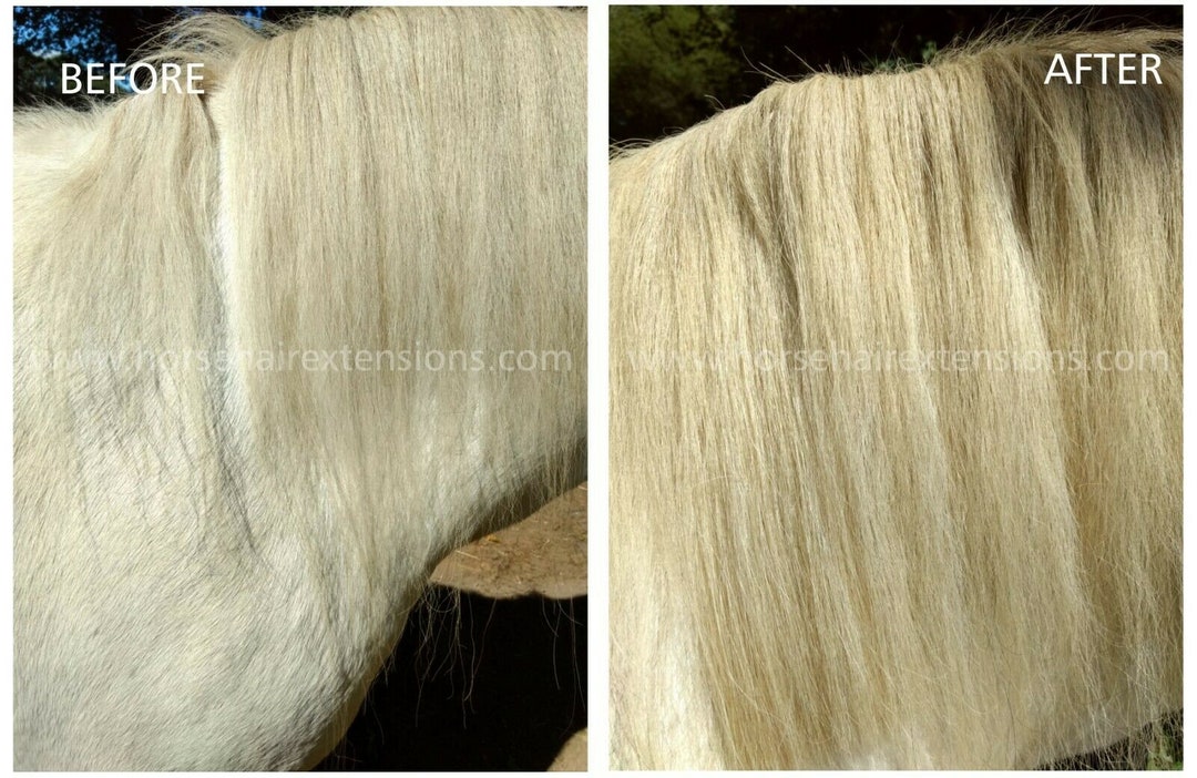 Horse Hair Clip in Mane Hair Extension , Fake Mane Extension Made With