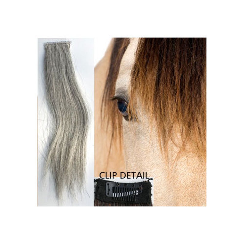 Clip in Forelock Extensions for Horses Real Horse Hair. Easy Etsy