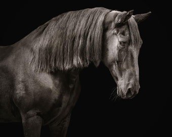 Pinza de pelo de caballo falso en extensión de melena, realista, finja fácilmente con la mejor extensión de melena de caballo hecha a mano por encargo 14-15" de largo 36-38 cm