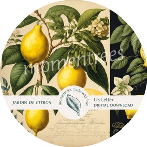 Carta de EE. UU. Diario basura Limones Limones Plantillas de papel Páginas artísticas con amor Manualidades Etiquetas vintage botánicas Momentrees de la naturaleza