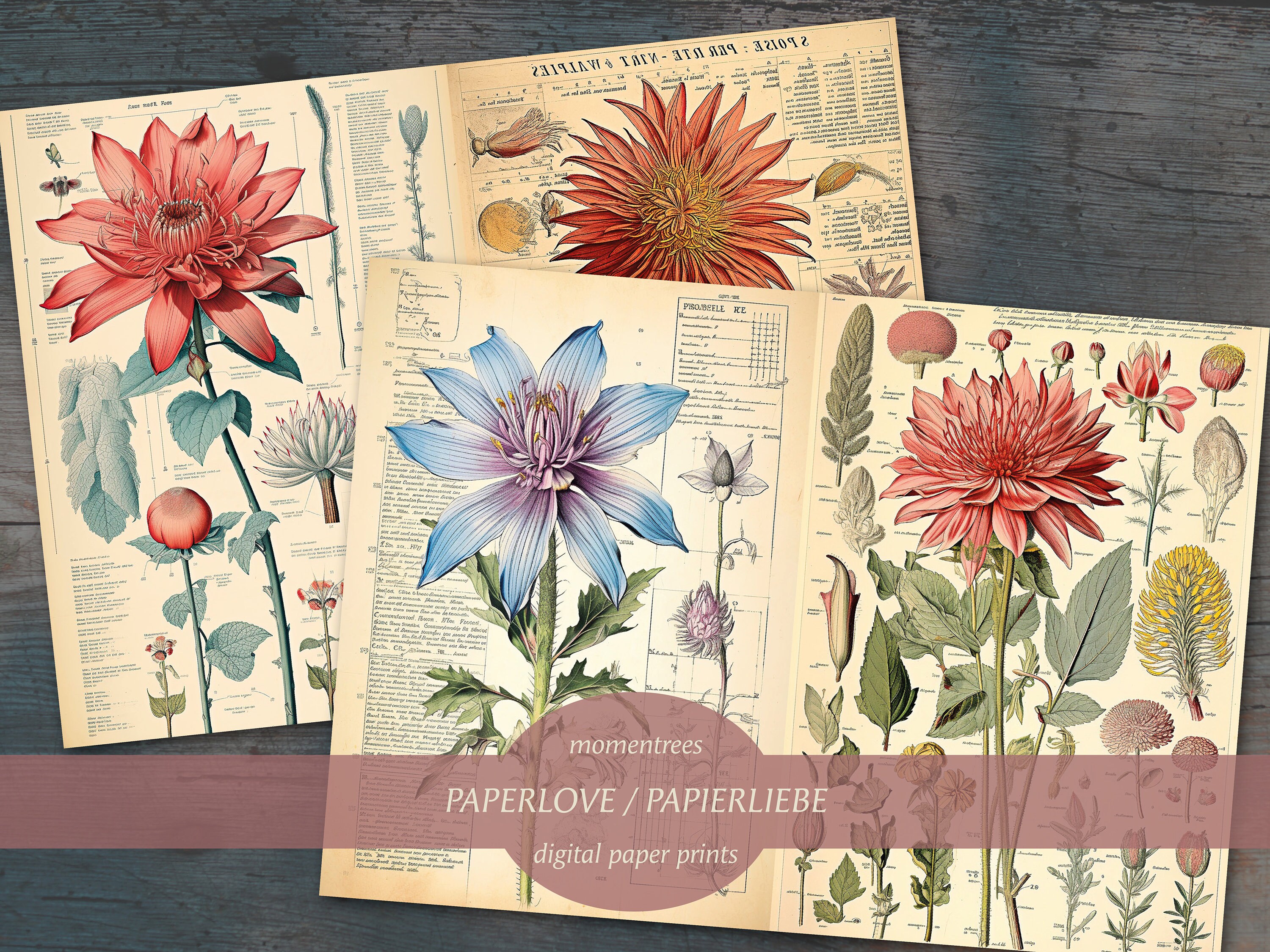【Daisy】ビンテージペーパー　切手セット Vintage Daisy Printable, Daisy Digital Paper, Romantic Decor