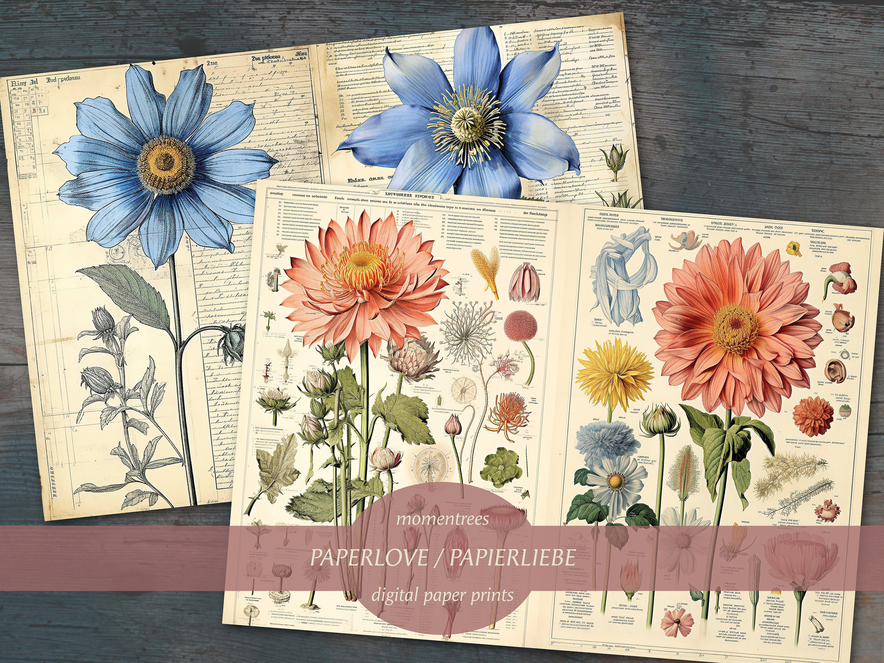 【Daisy】ビンテージペーパー　切手セット Vintage Daisy Printable, Daisy Digital Paper, Romantic Decor
