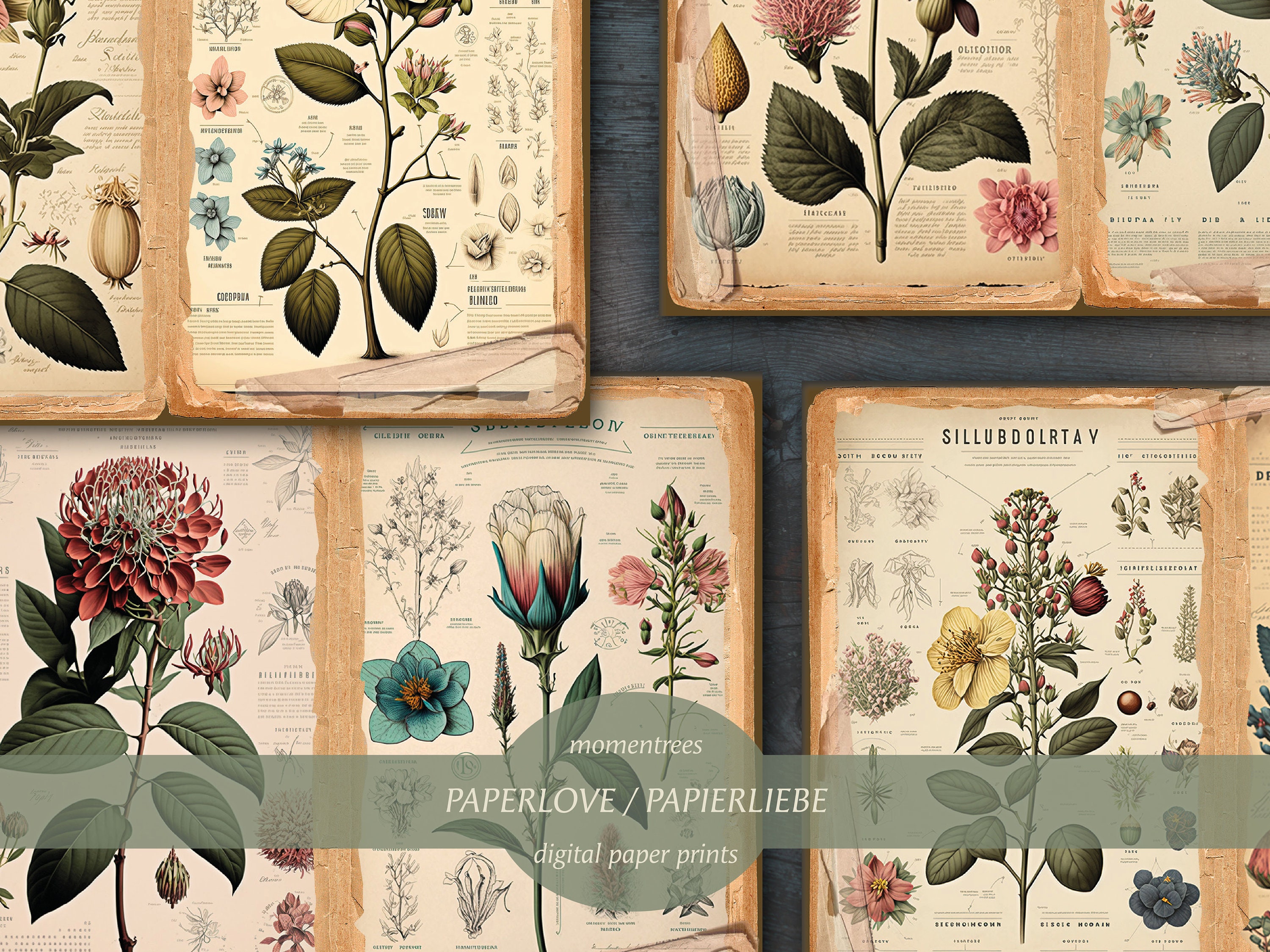 Flower Encyclopedia Digital Beautiful Old Baroque Vintage