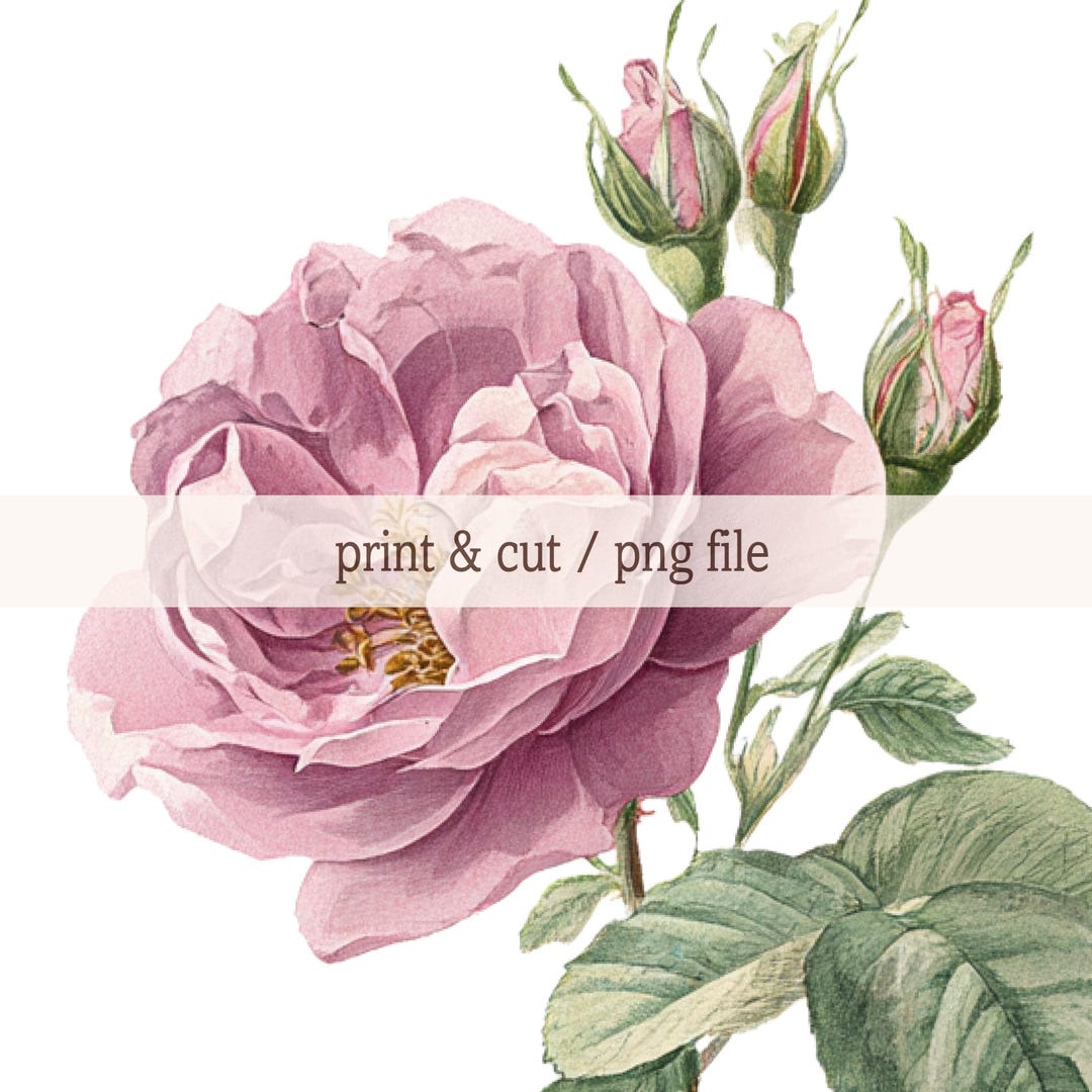 Vintage Flower Printable, Botanical Wall Art Download, Romantic Floral ...