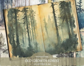 May include: An open book with a watercolor painting of a misty forest. The book is titled "Old Growth Forest" and has the text "US Letter & A4, 8 double pages" printed on the bottom. The book is surrounded by smaller images of trees.