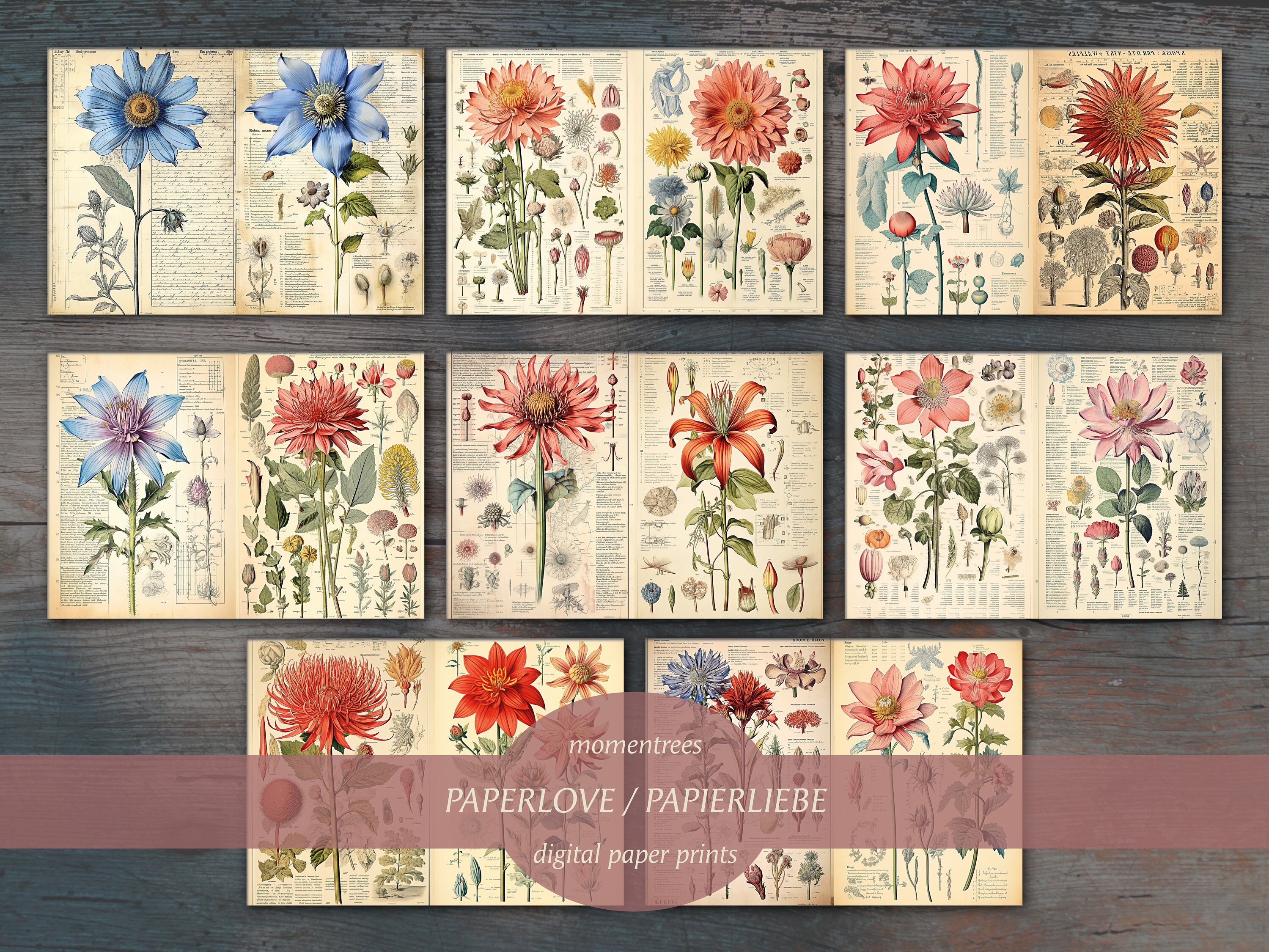 Flowers Botanical Illustration 18th Century Digital Vintage