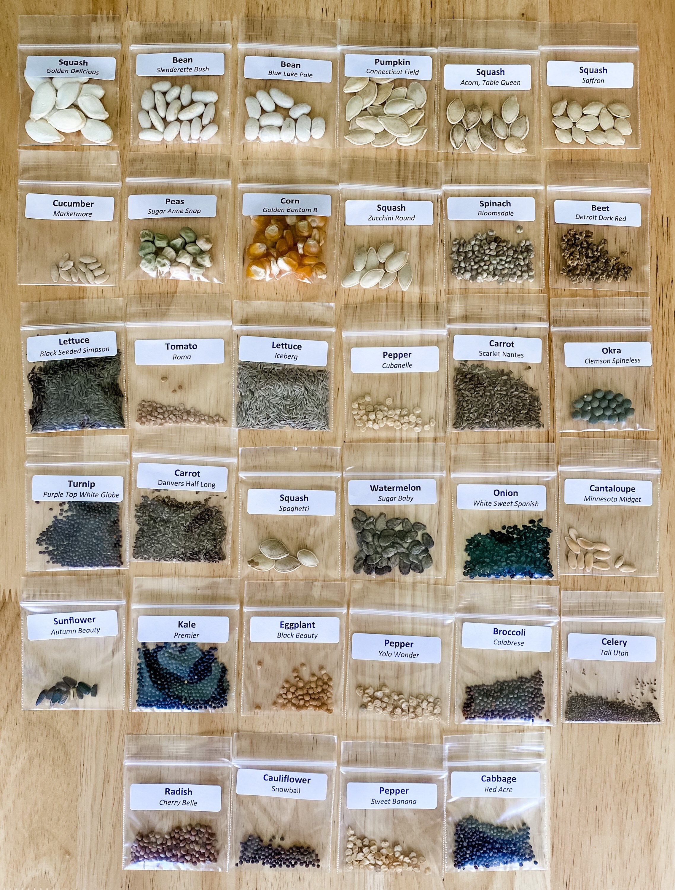 Emergency Survival Garden Kit Heirloom Seeds Vegetable Seed Etsy