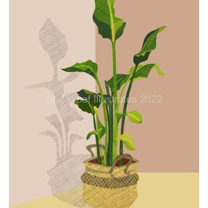 Banana Plant digital print (pink/beige), available in A6, A4 and A3 (unframed)