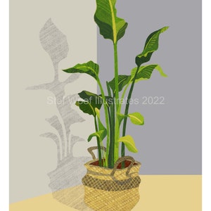 Banana Plant digital print (grey/yellow), available in A6, A4 and A3 (unframed)